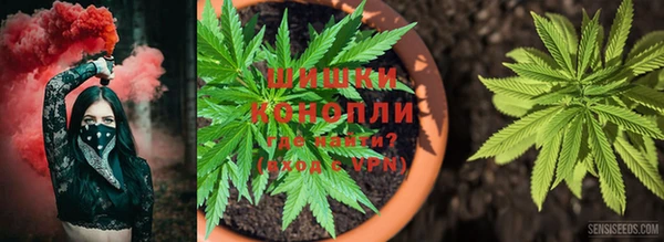 дурь Белокуриха