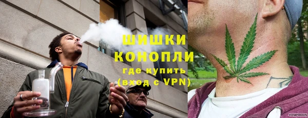 дурь Белокуриха